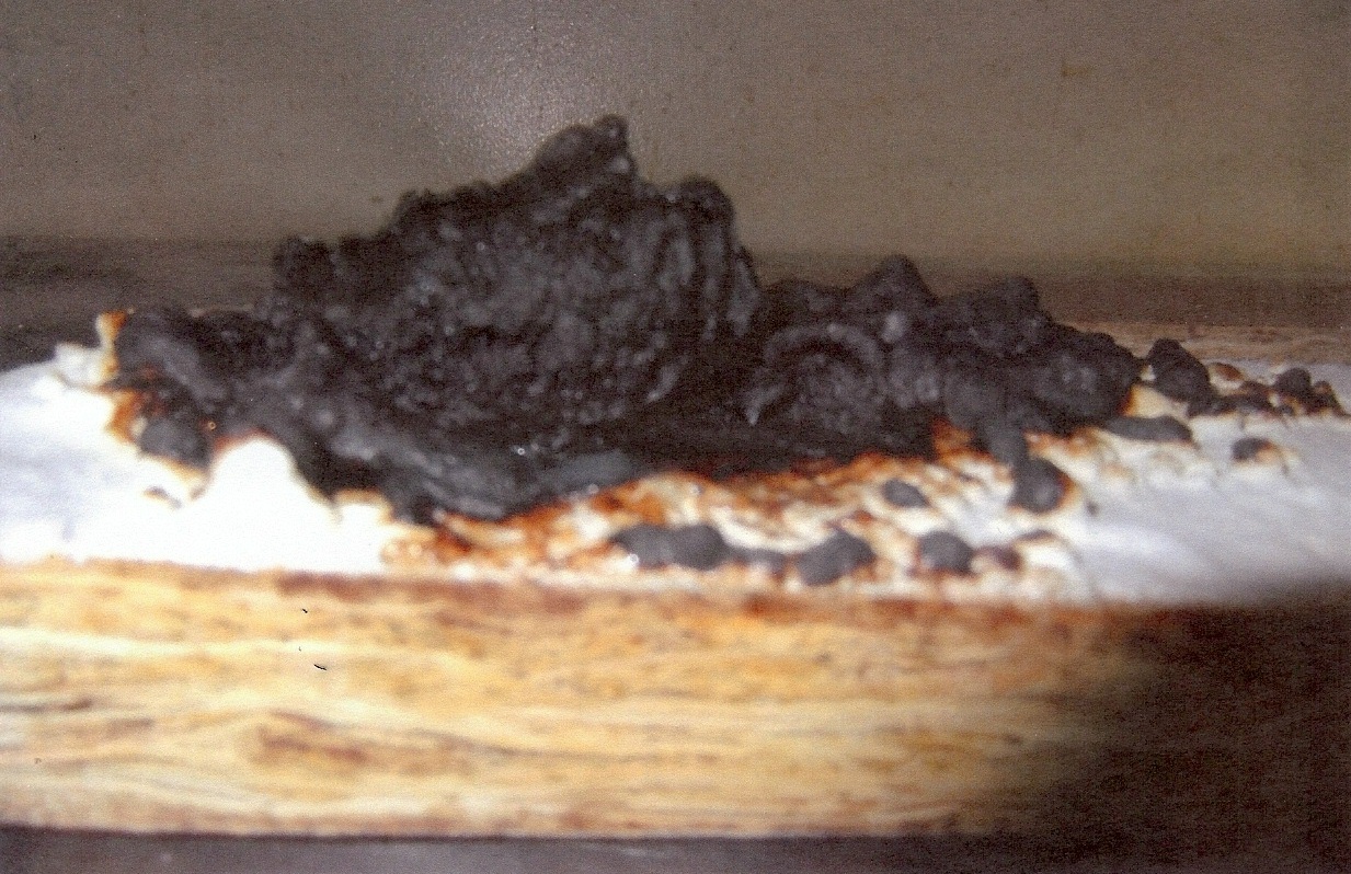intumescent fire retardan for wood